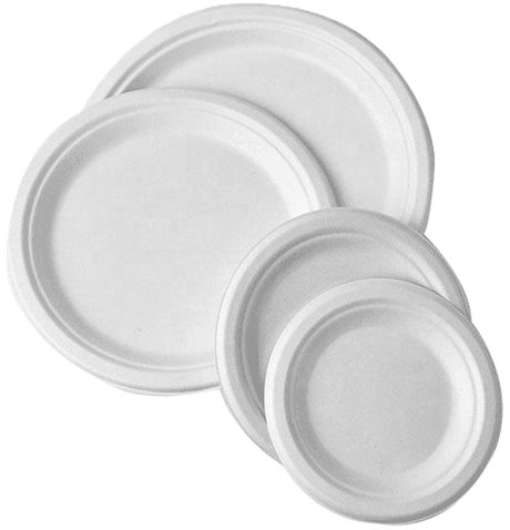Bagasse Plates - R3Sales