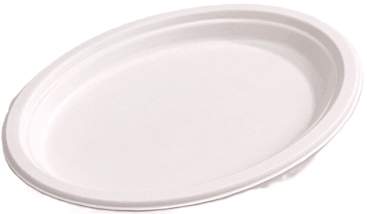 Bagasse 10" Oval Dinner Plate