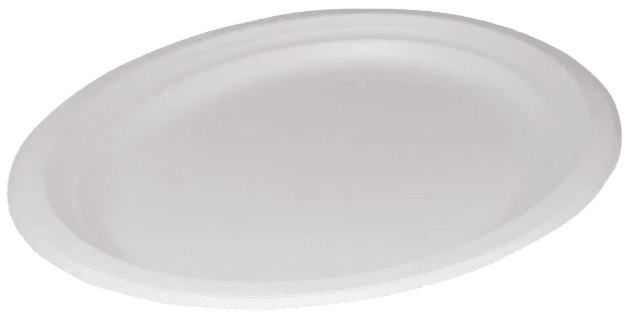 Bagasse 12" Oval Dinner Plate