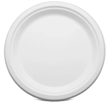 Bagasse 9" Round Dinner Plate
