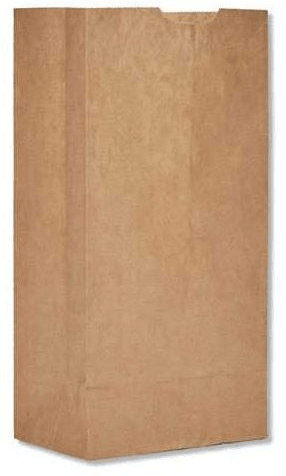 Kraft Paper Bag 10lbs - 6.5 in x 4.13 in x 13 in - Brown