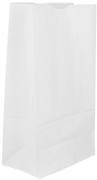 Kraft Paper Bag 6lb - 6 in x 3.63 in x 11 in - White