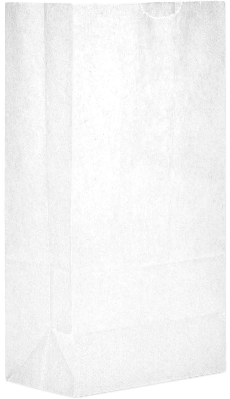 Kraft Paper Bag 10lb - 6.50 in x 4.13 in x 13 in - White