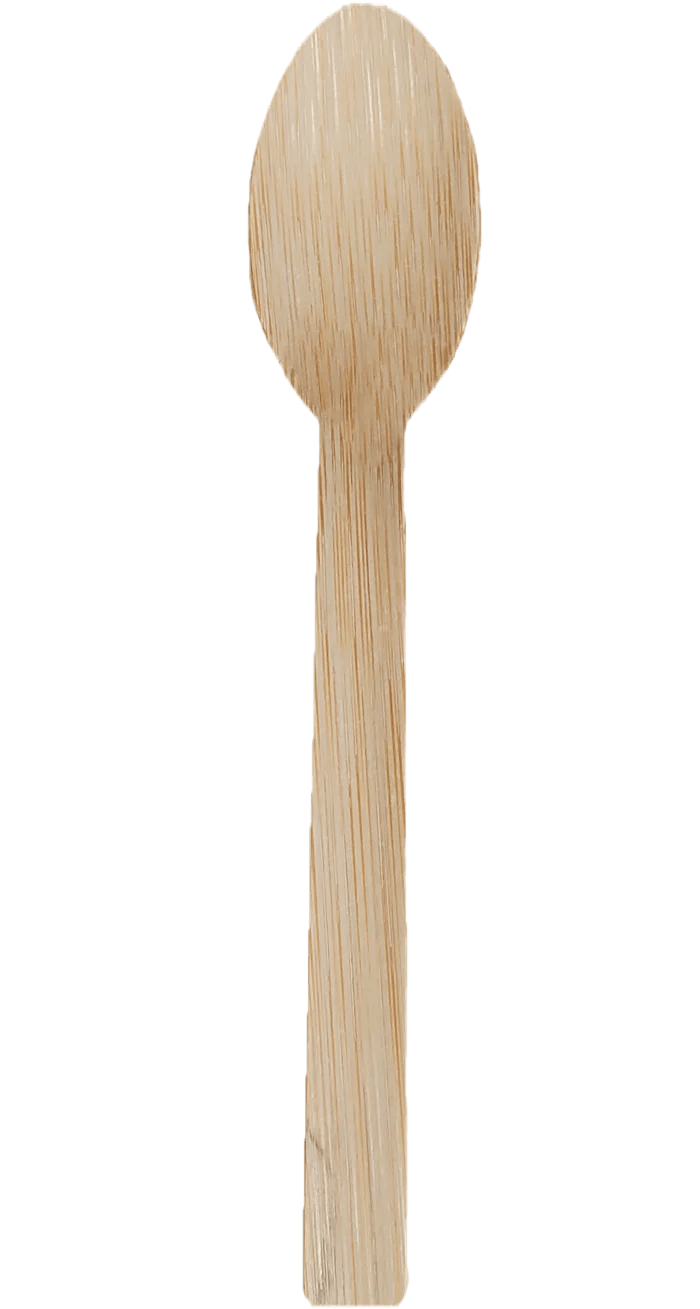 Bamboo Spoon 6"